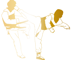 Taekwondo / Parataekwondo